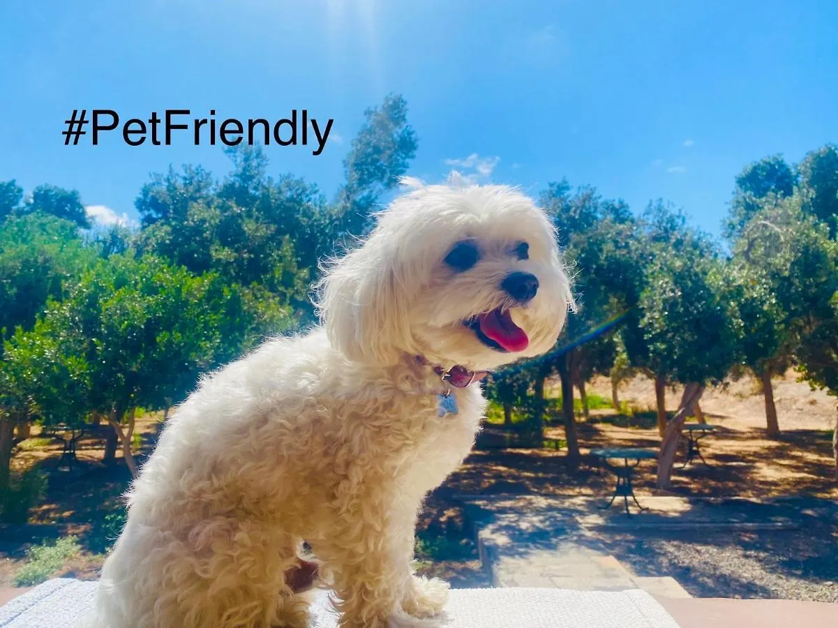 Bungalow Sequero #Pet Friendly Tuineje